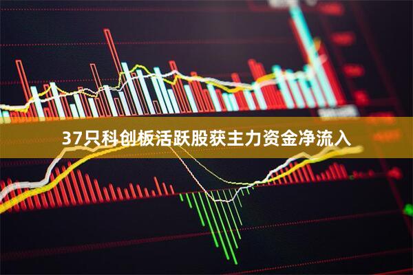 37只科创板活跃股获主力资金净流入