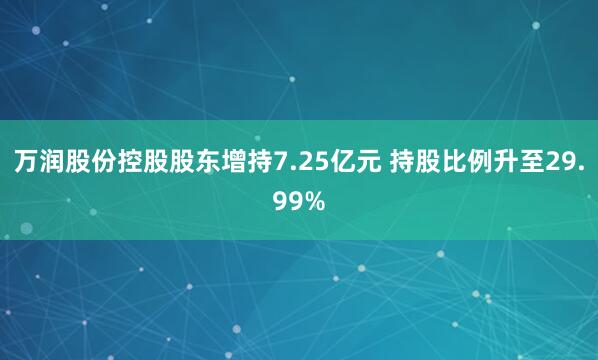 万润股份控股股东增持7.25亿元 持股比例升至29.99%